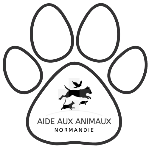 Aide aux animaux Normandie
